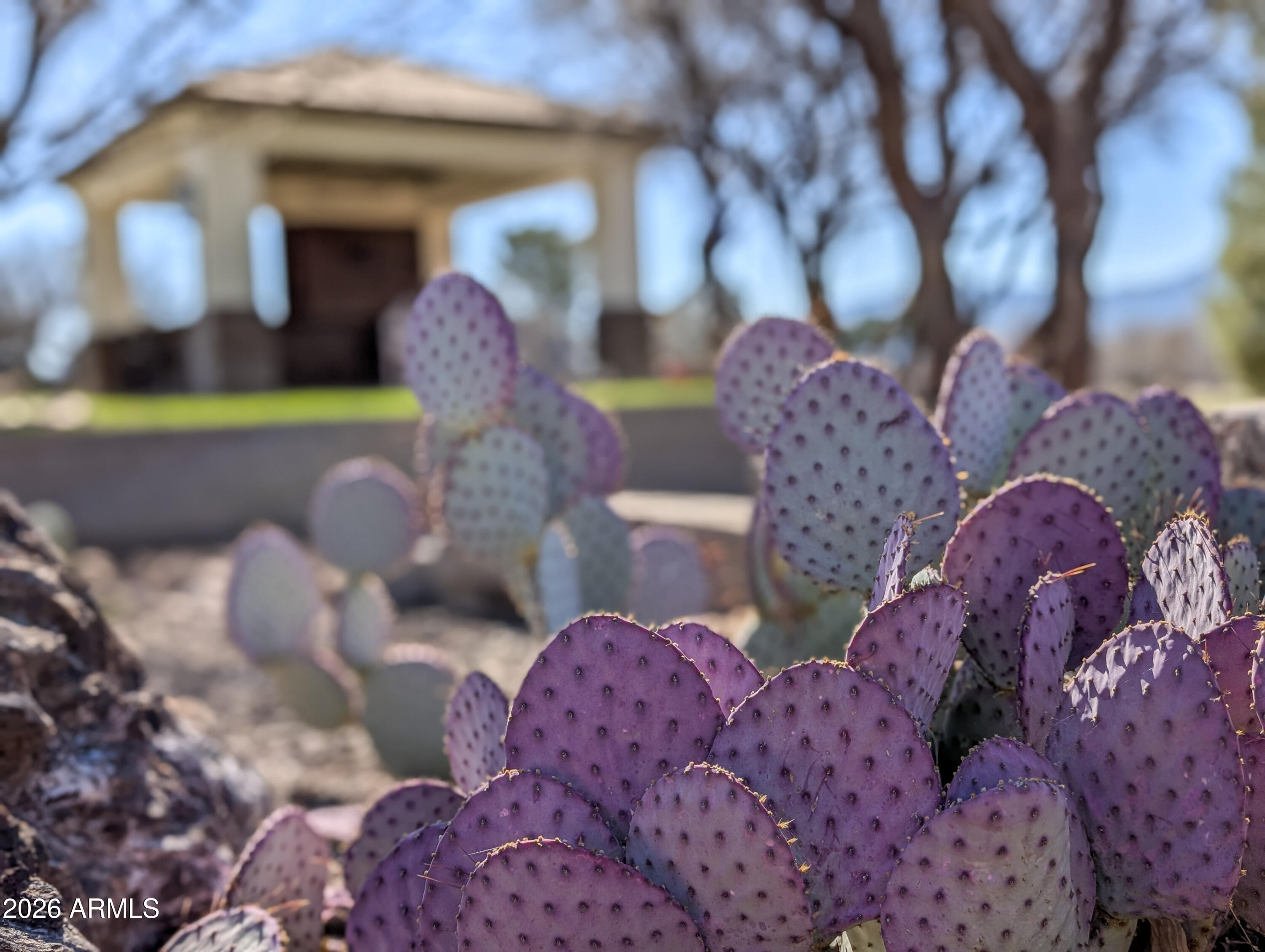 2833 South Old Church Road Camp Verde, AZ 86322 - Photo 8 of 116 Outdoor Kitchen (12)