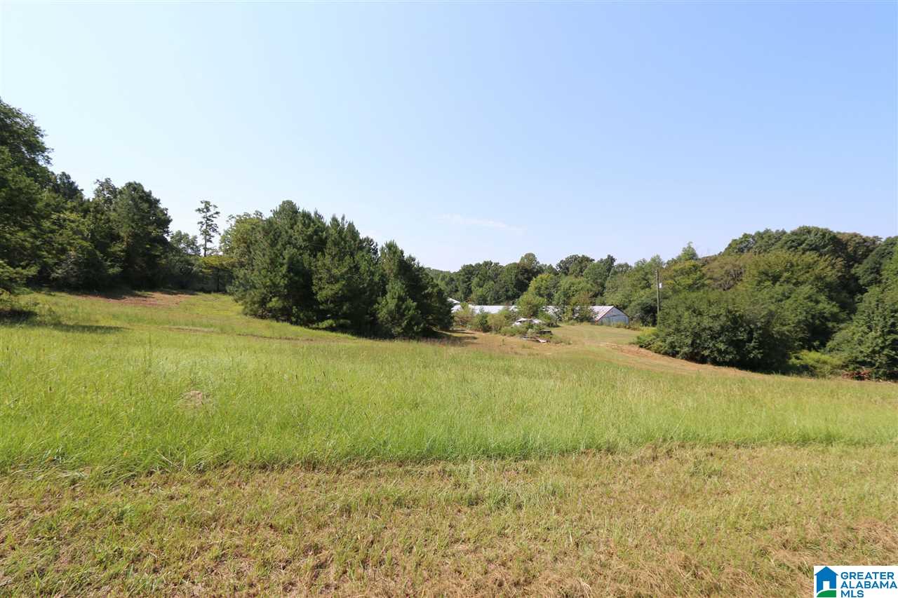 Cove Acres Road, Unit 12 89 Odenville, AL 35120 - Photo 25 of 37
