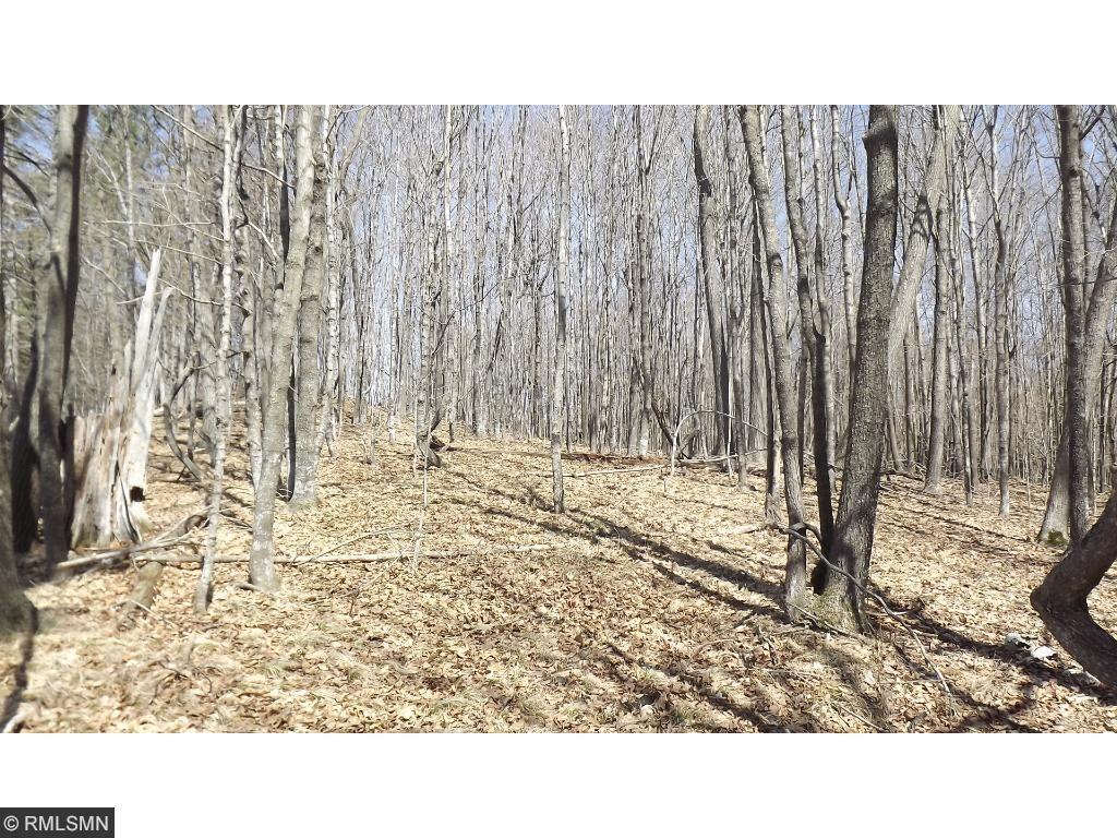 Xxxxx Battle Point Road Northeast Deerwood, MN 56444 - Photo 8 of 13 Gallery Image 8