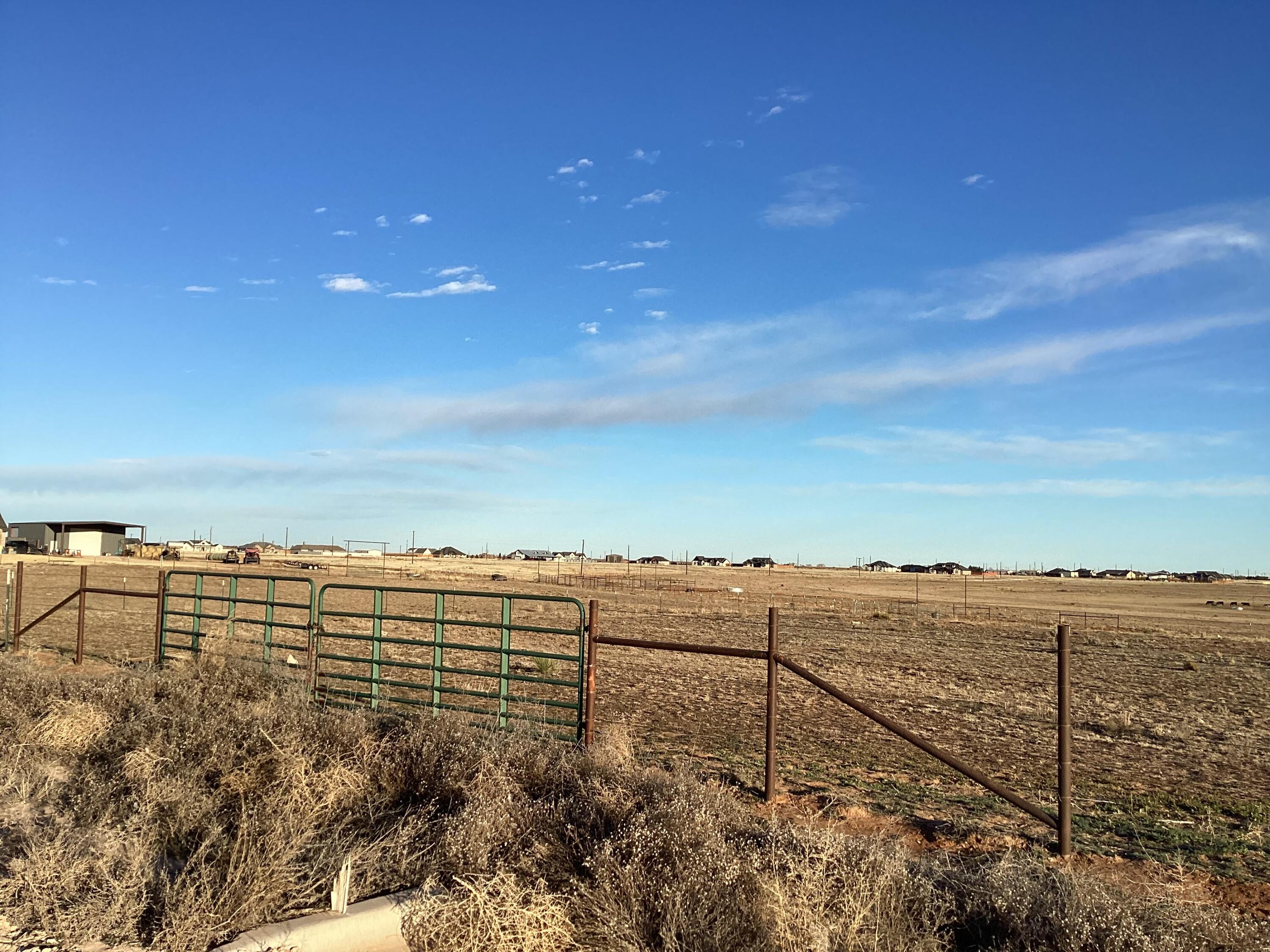 Steer Road Ropesville, TX 79358 - Photo 2 of 6 IMG_0105