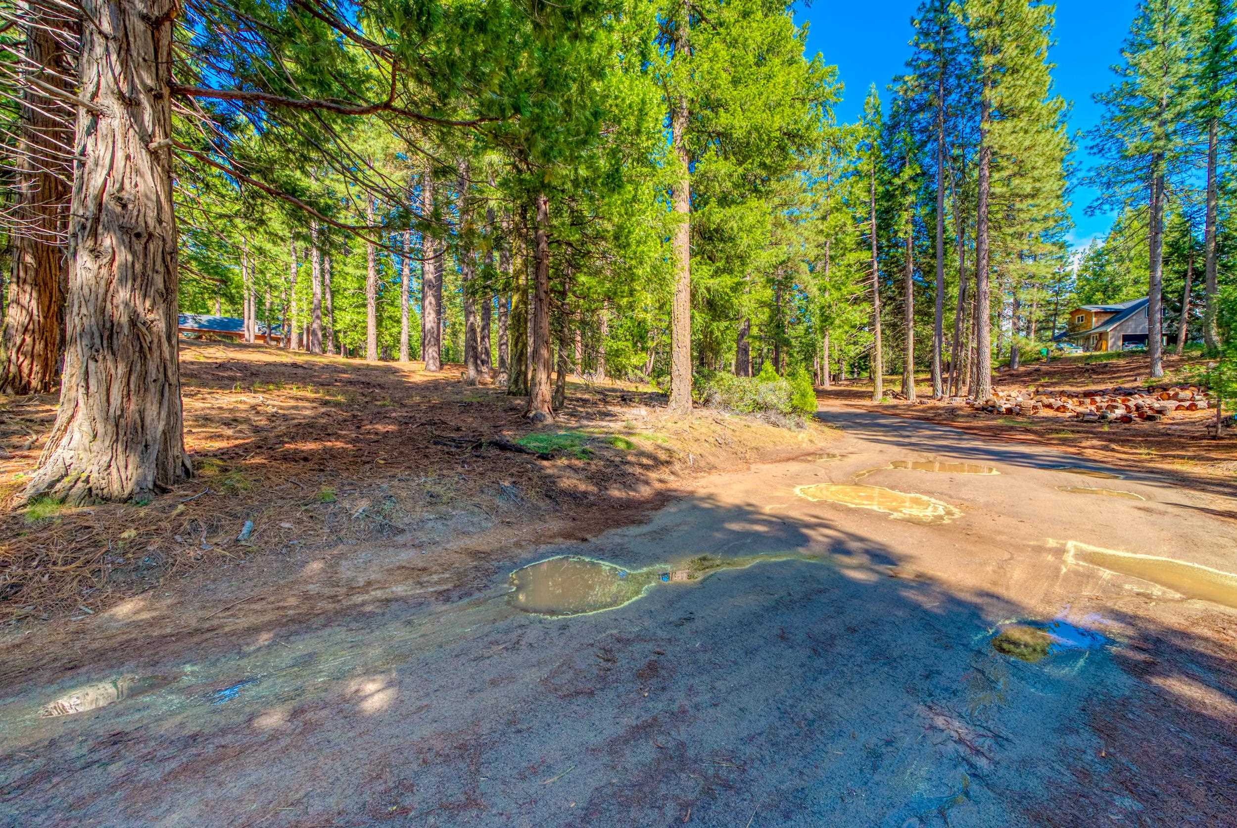 954 Red Fox Road Clio, CA 96106 - Photo 16 of 22