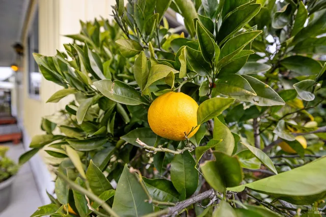 $150,000 | 58 Círculo Puerto, Rohnert Park, CA 94928