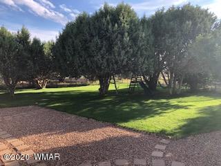 6774 Cheney Ranch Loop Show Low, AZ 85901 - Photo 27 of 33 Gallery Image 27