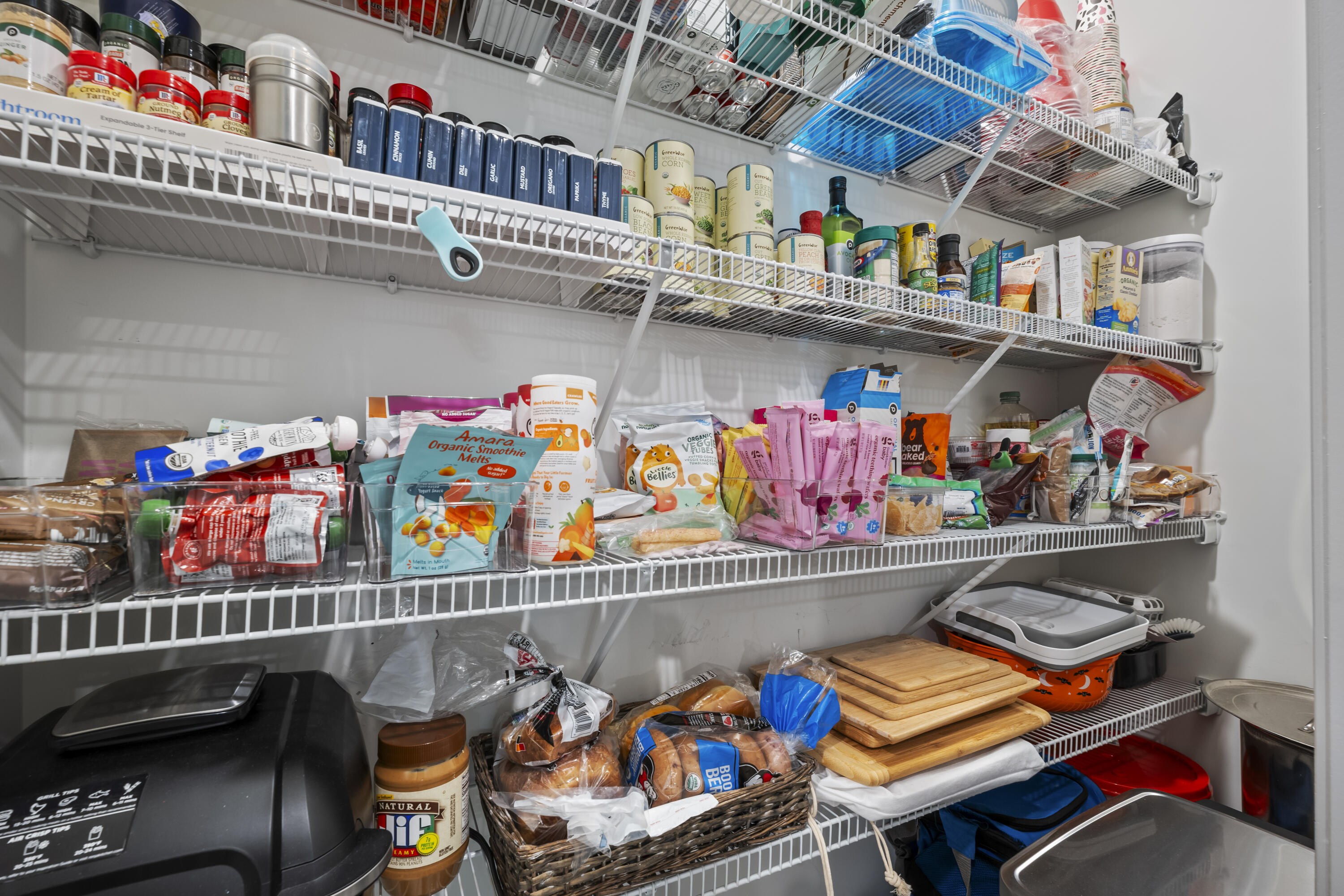 104 Rusting Link Road Summerville, SC 29483 - Photo 10 of 30 walk-in pantry