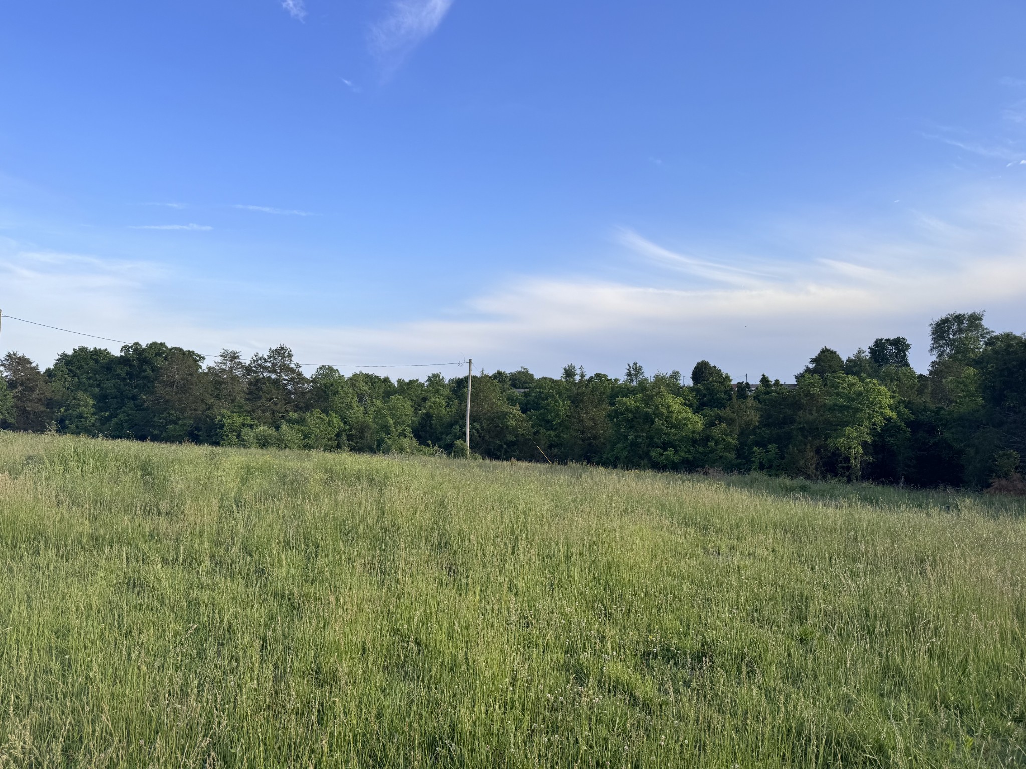0 Ward Hollow Road Brush Creek, TN 38547 - Photo 8 of 8 a view of a field with an trees in the background