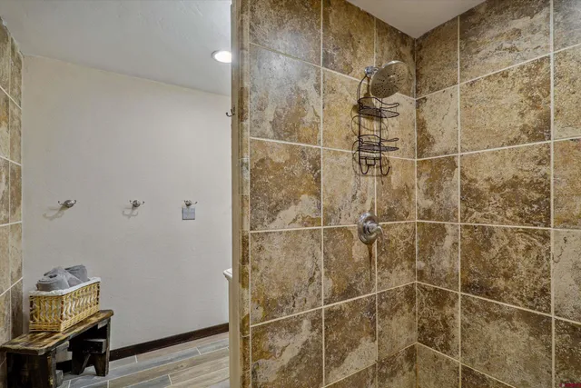 a bathroom with a shower
