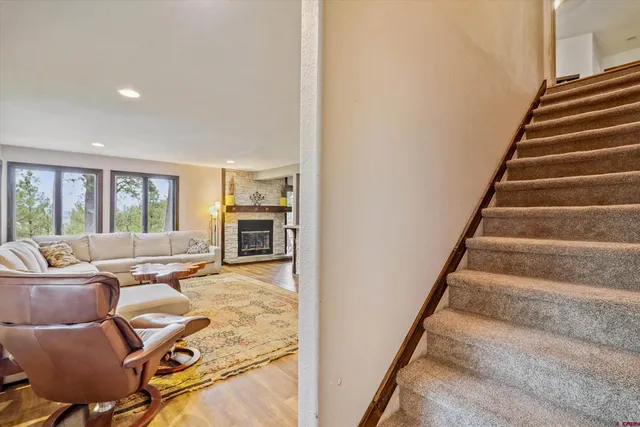 a view of livingroom with furniture and closet