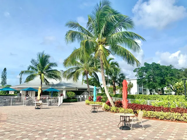 a view of park with tree s