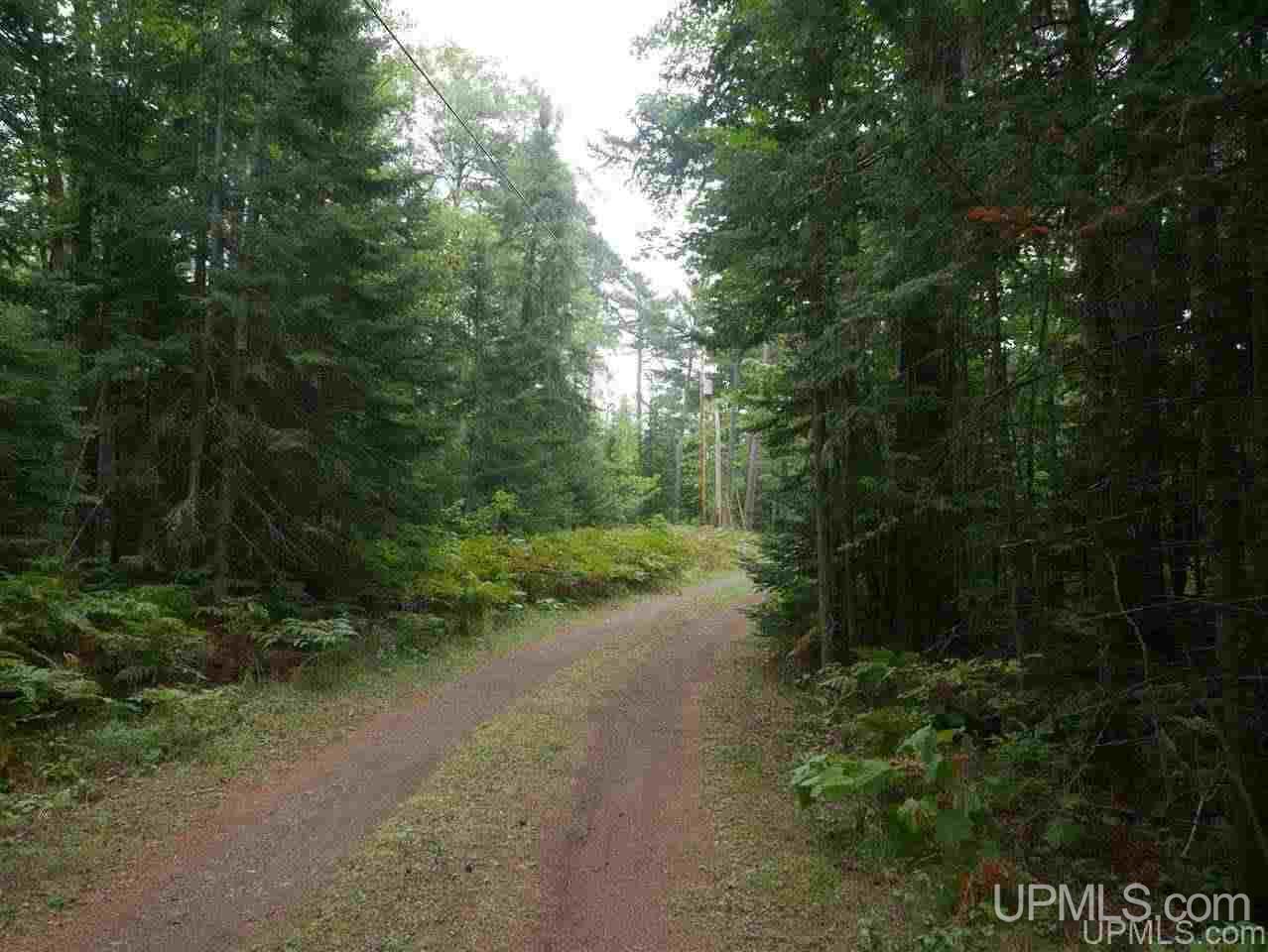 Lots 12-and 13 Lake Lily Road Mohawk, MI 49918 - Photo 6 of 27