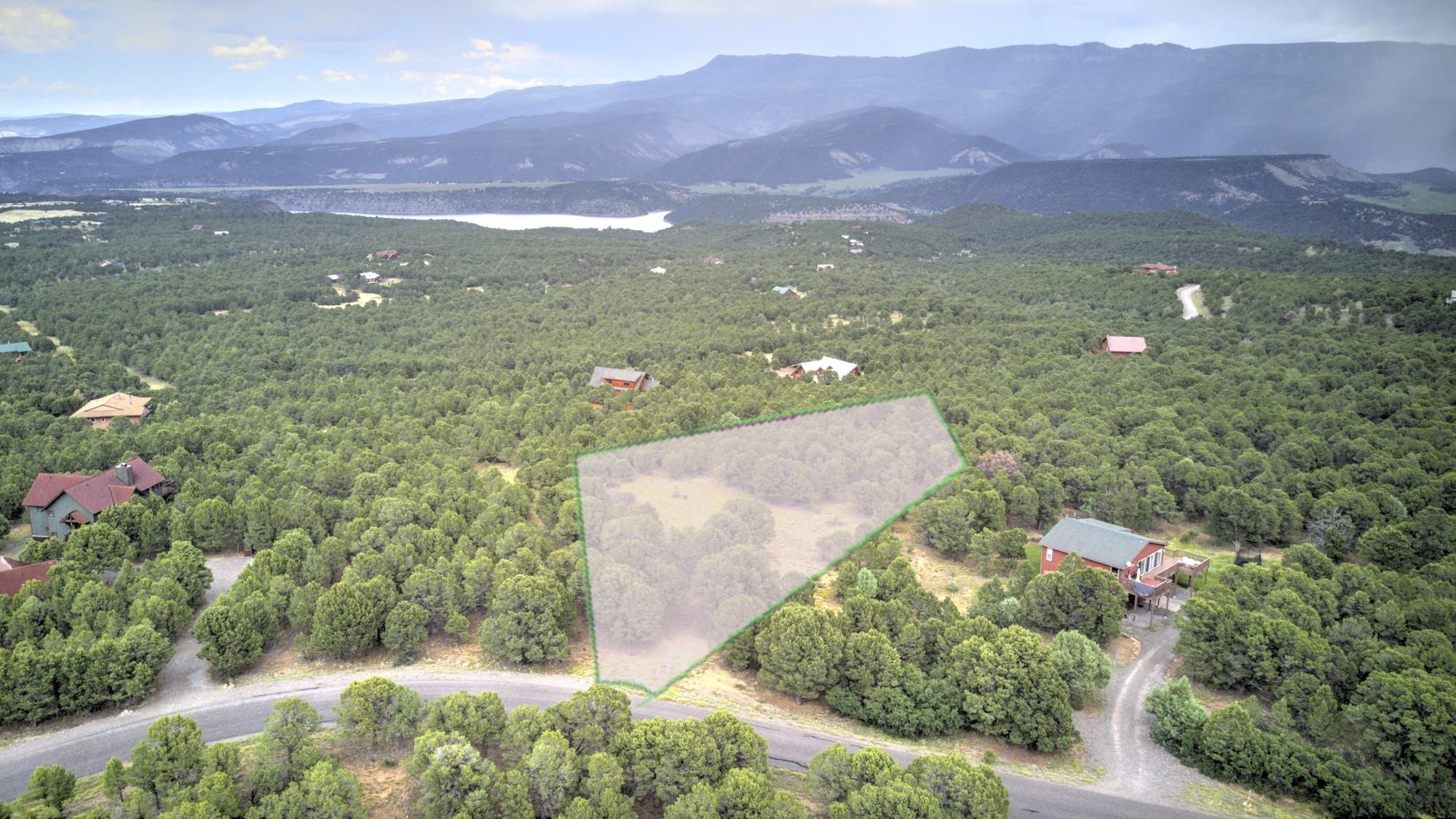 225 Oak Road Ridgway, CO 81432 - Photo 1 of 6 Aerial view of property