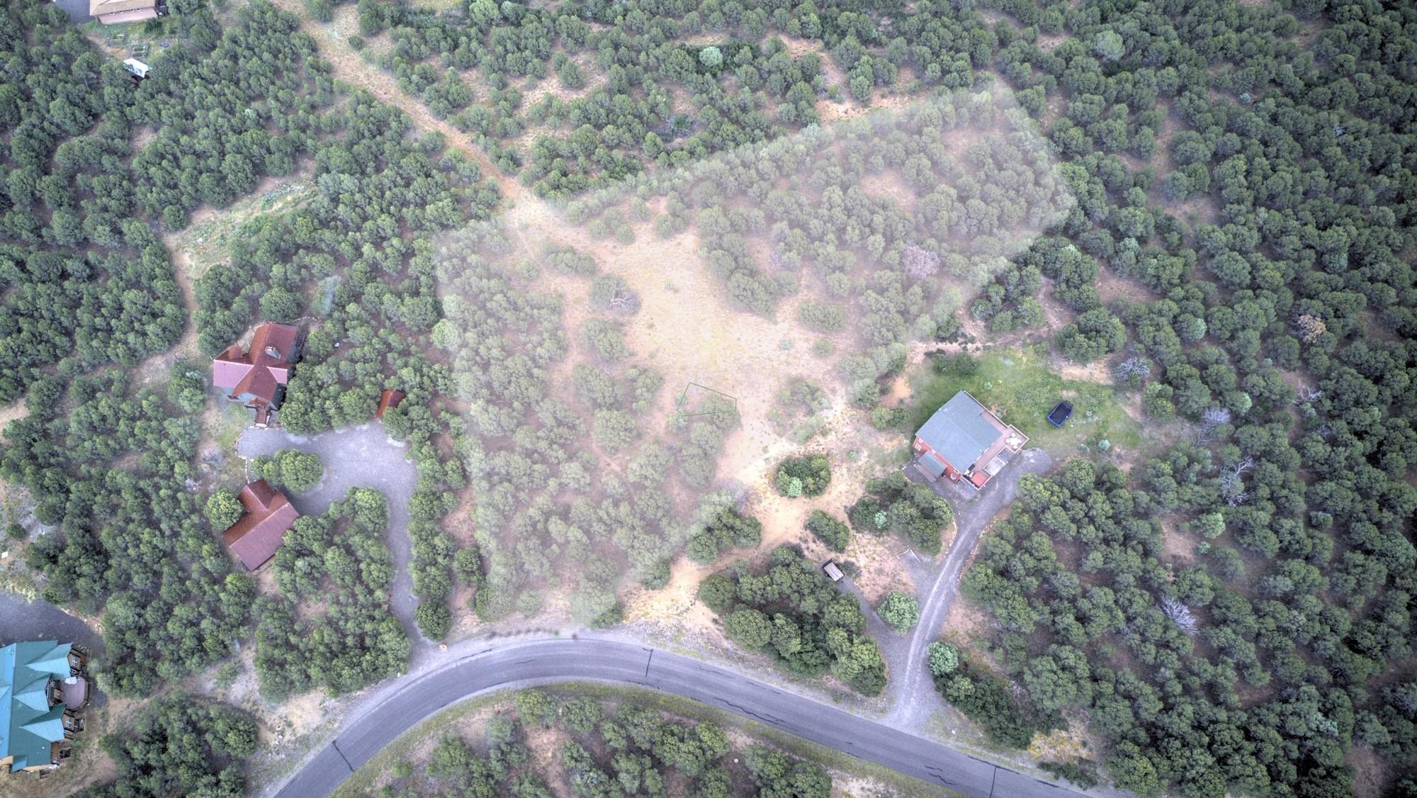 225 Oak Road Ridgway, CO 81432 - Photo 2 of 6 smaller aerial 2