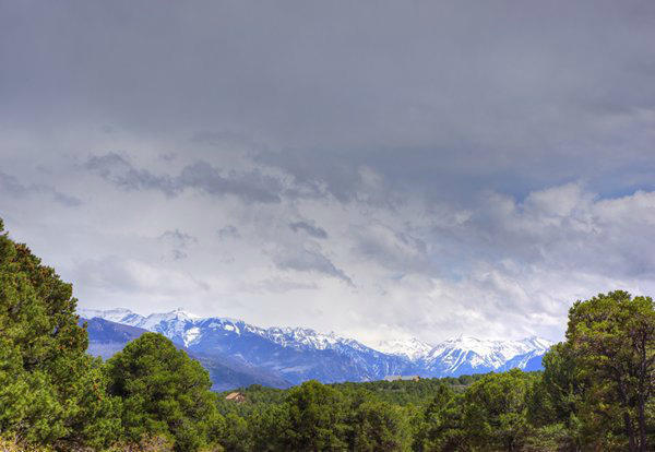225 Oak Road Ridgway, CO 81432 - Photo 4 of 6 20151012195123399822000000-o