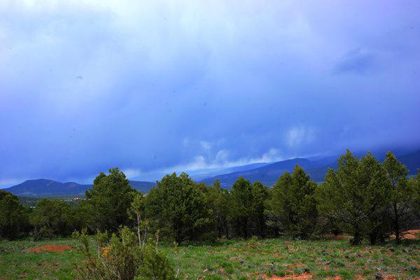 225 Oak Road Ridgway, CO 81432 - Photo 6 of 6 20151012195124143035000000-o