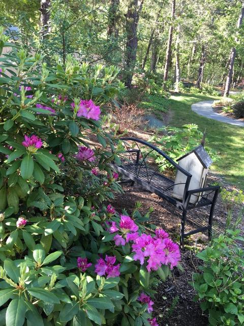 105 Cole Road Eastham, MA 02642 - Photo 26 of 30 a backyard of a house with yard and outdoor seating