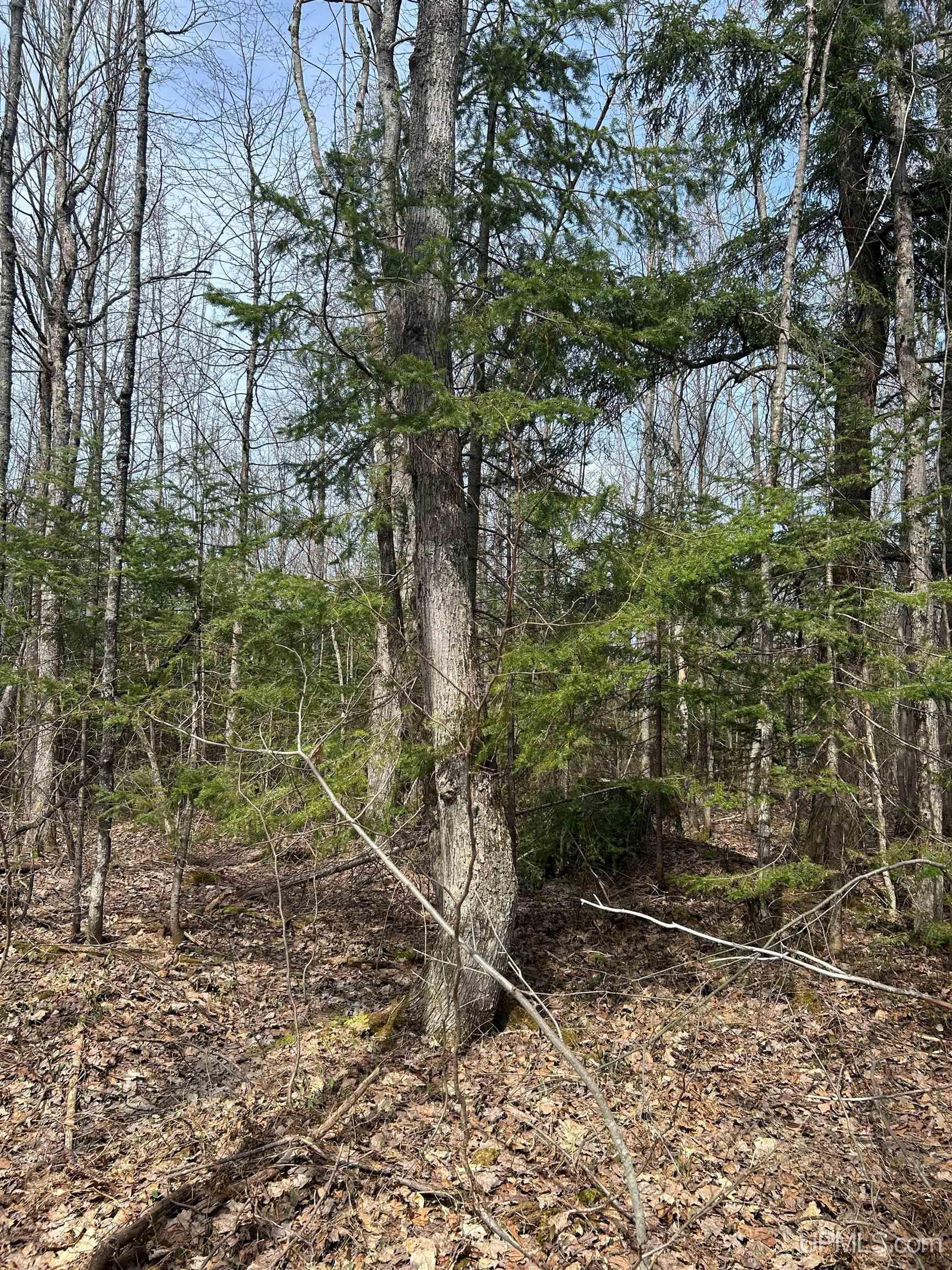 4-10 Firesteel Road Ontonagon, MI 49953 - Photo 14 of 28