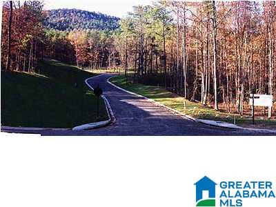 Autumn View Drive Sterrett, AL 35147 - Photo 2 of 5