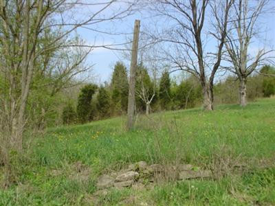 6010 Cincinnati Road Sadieville, KY 40370 - Photo 3 of 11 Photo 3