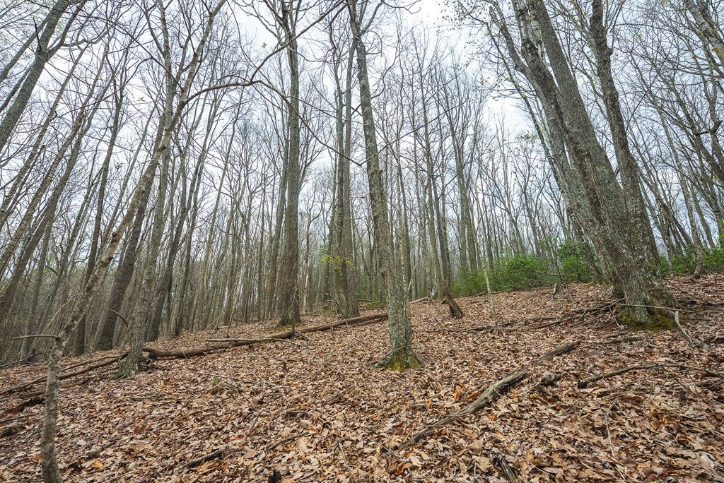 Tbd Cox Store Road Southwest Floyd, VA 24091 - Photo 15 of 27 Gallery Image 15
