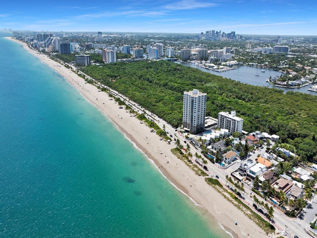 3301 Northeast 14th Court Fort Lauderdale, FL 33304 - Photo 6 of 12