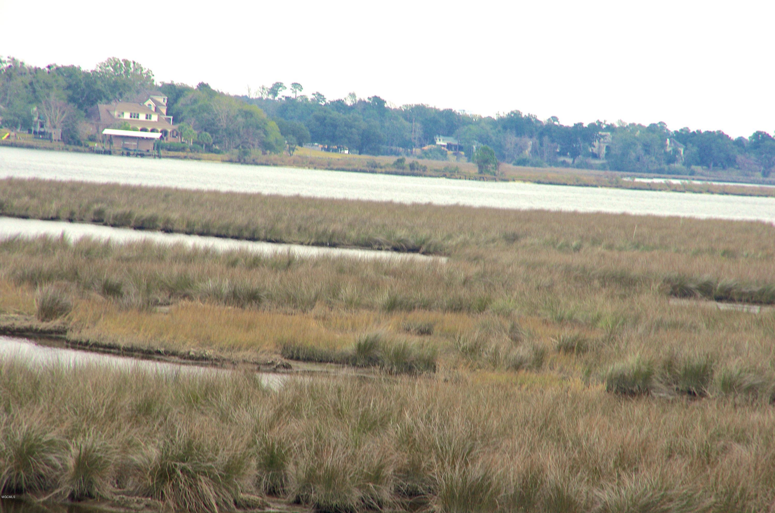 10049 East Shorecrest Road Biloxi, MS 39532 - Photo 10 of 32 View to the North
