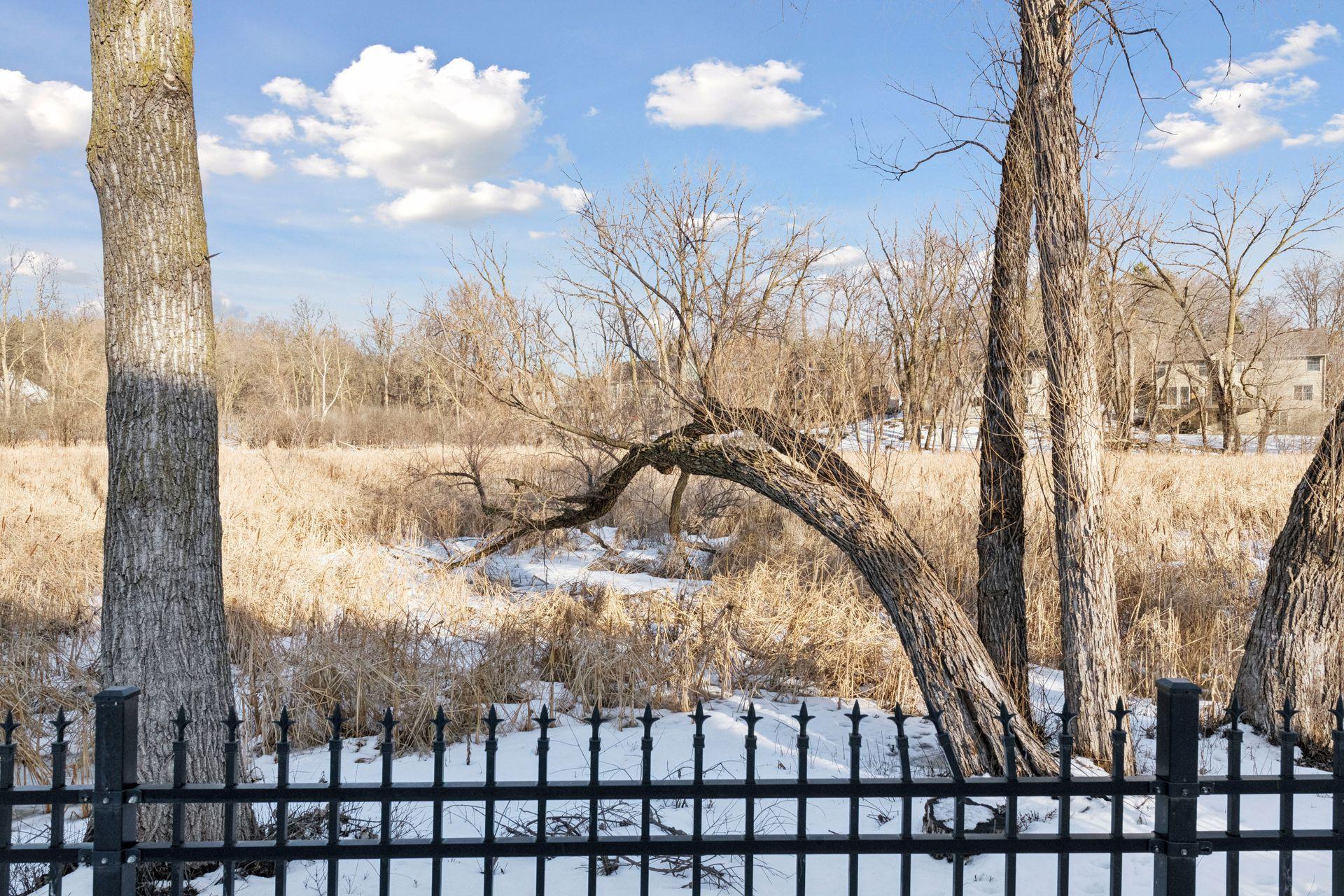 19415 Vine Ridge Road Excelsior, MN 55331 - Photo 61 of 66