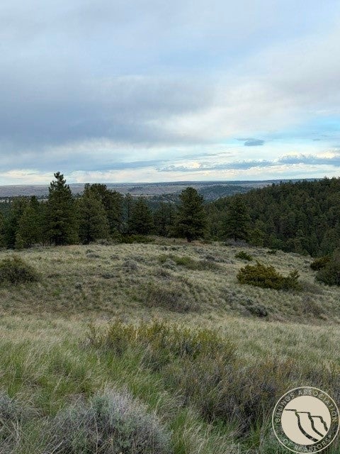 Lot 71 North Harrier Road Reed Point, MT 59069 - Photo 30 of 32 Gallery Image 30