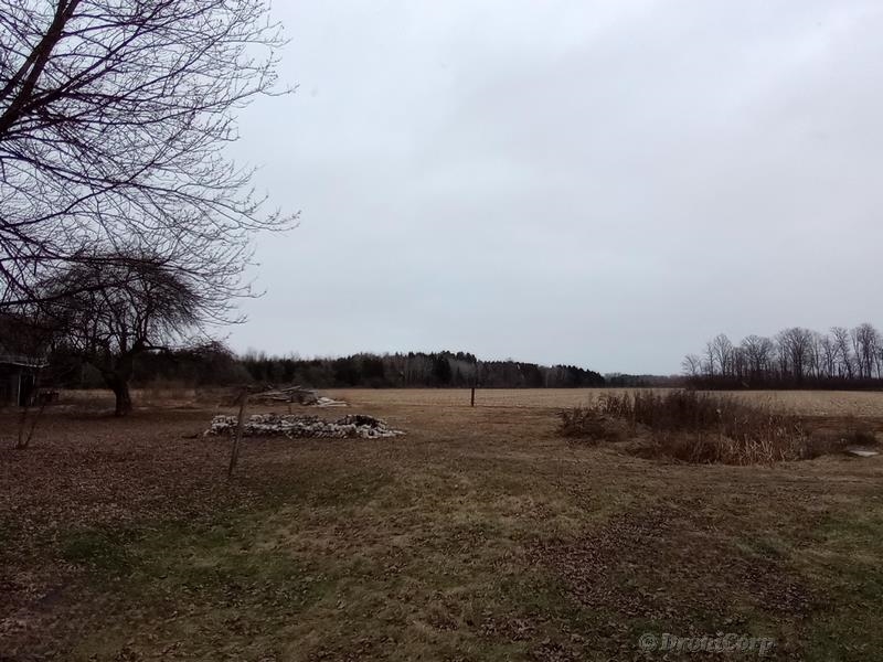 4925 Freeman Road Beaverton, MI 48612 - Photo 9 of 30