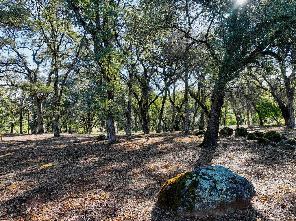 19890 Perimeter Road Grass Valley, CA 95949 - Photo 81 of 95