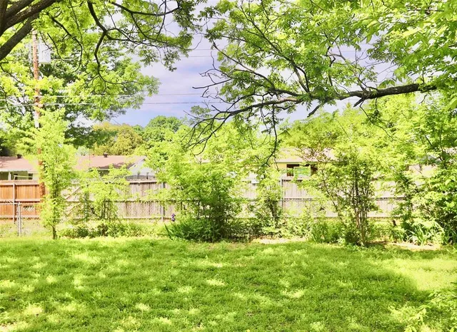 a view of a big yard with plants and large trees