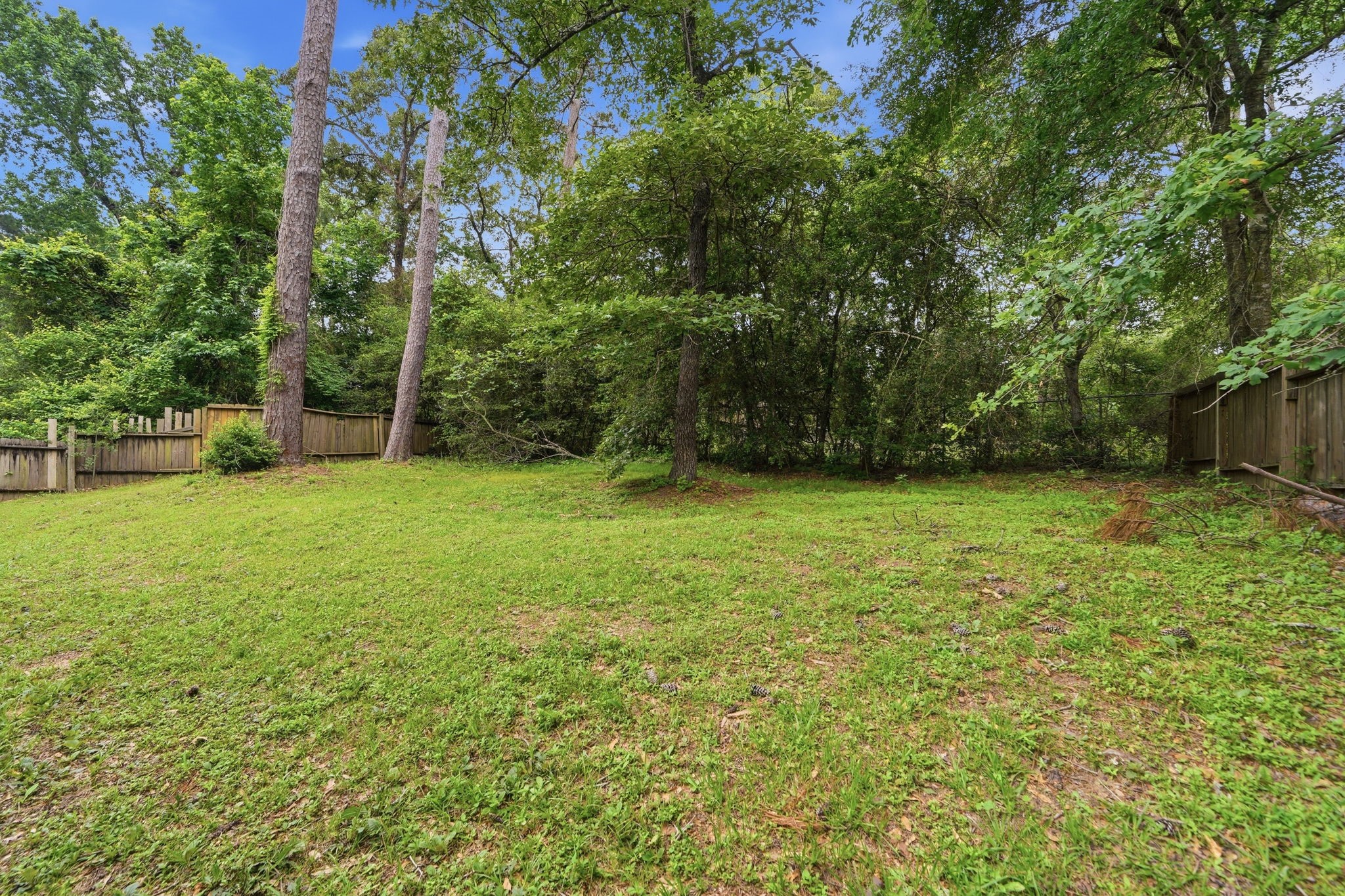 12595 Royal Springs Road Conroe, TX 77303 - Photo 27 of 29