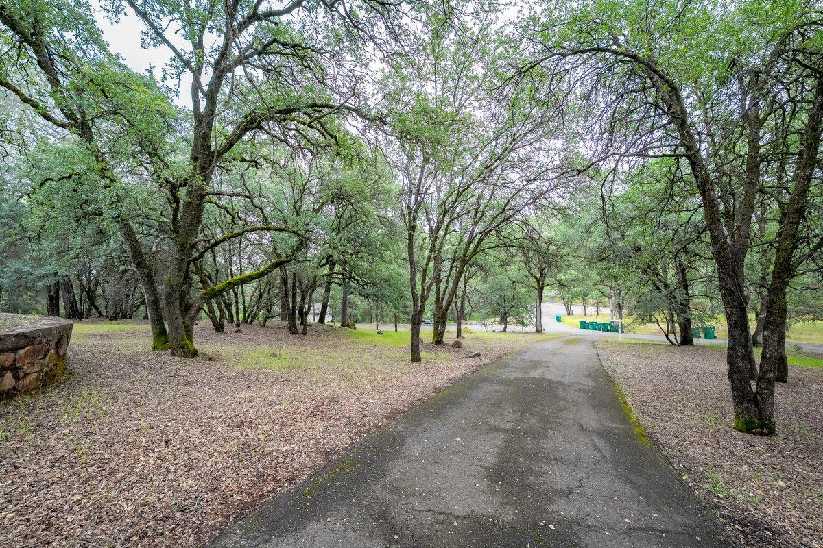6561 Trinity Way Placerville, CA 95667 - Photo 46 of 58 a view of dirt yard with a trees