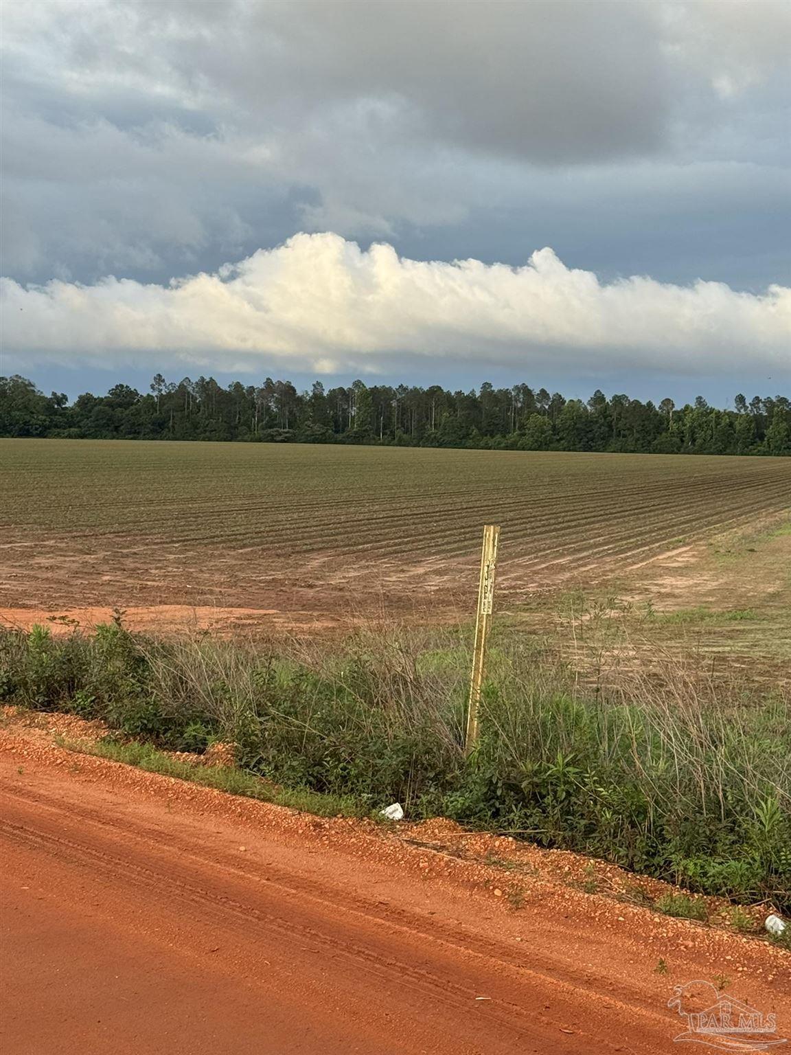 0 Old Stage Road Repton, AL 36475 - Photo 27 of 27