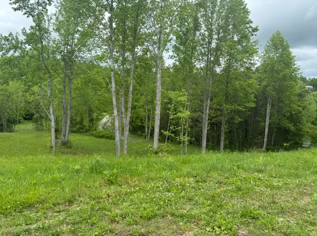 a view of outdoor space with a garden