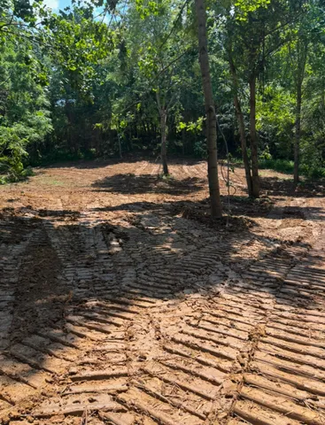 a view of a yard with a tree