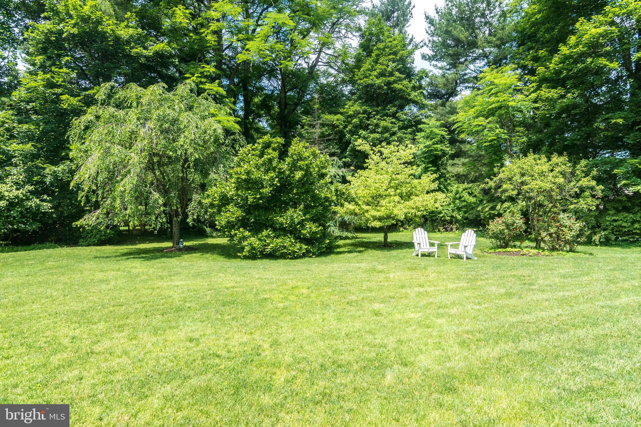 638 Conestoga Road Berwyn, PA 19312 - Photo 3 of 54 Side Yard
