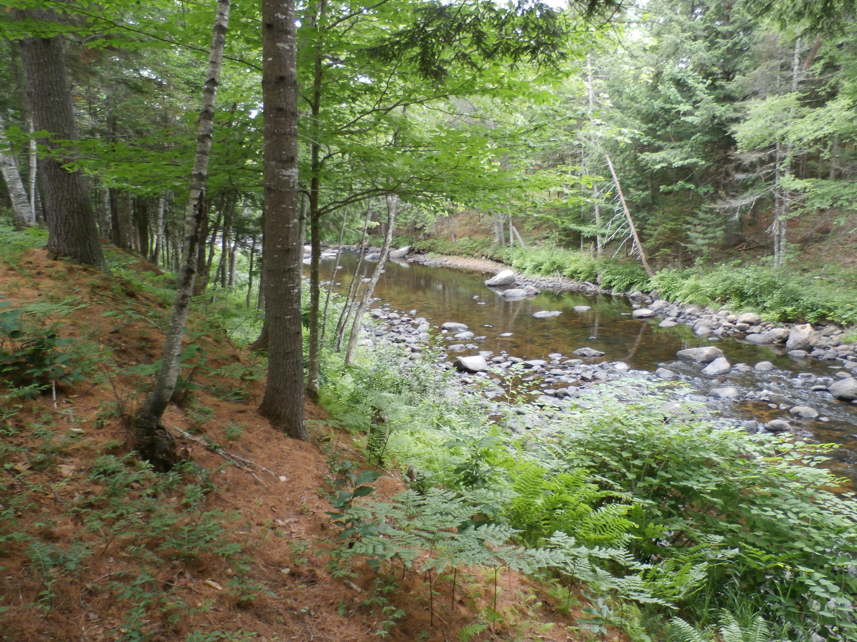 645 Carthage Road Carthage, ME 04224 - Photo 2 of 37 P7010974