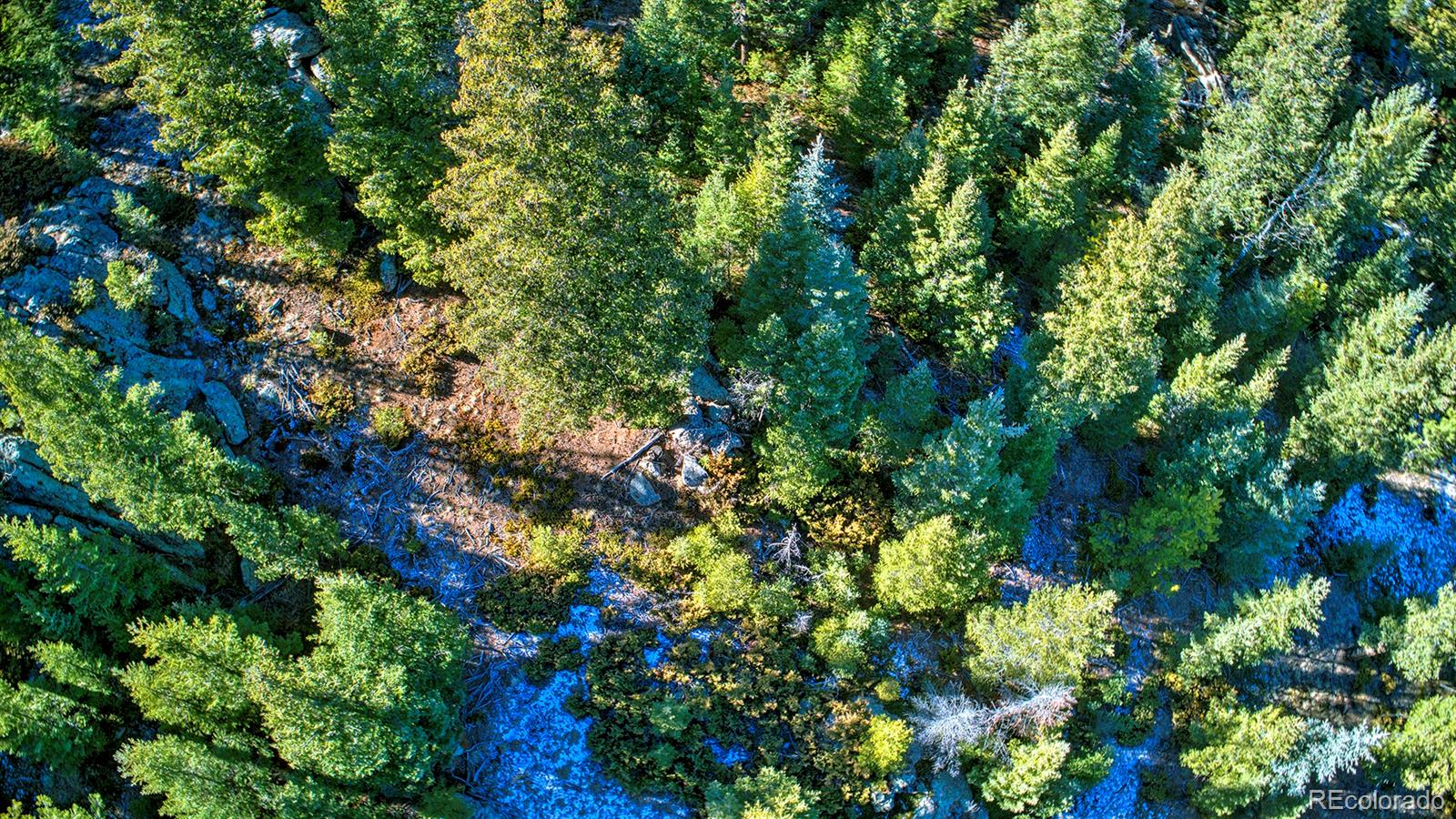 Golden Willow Road Evergreen, CO 80439 - Photo 11 of 22 Gallery Image 11