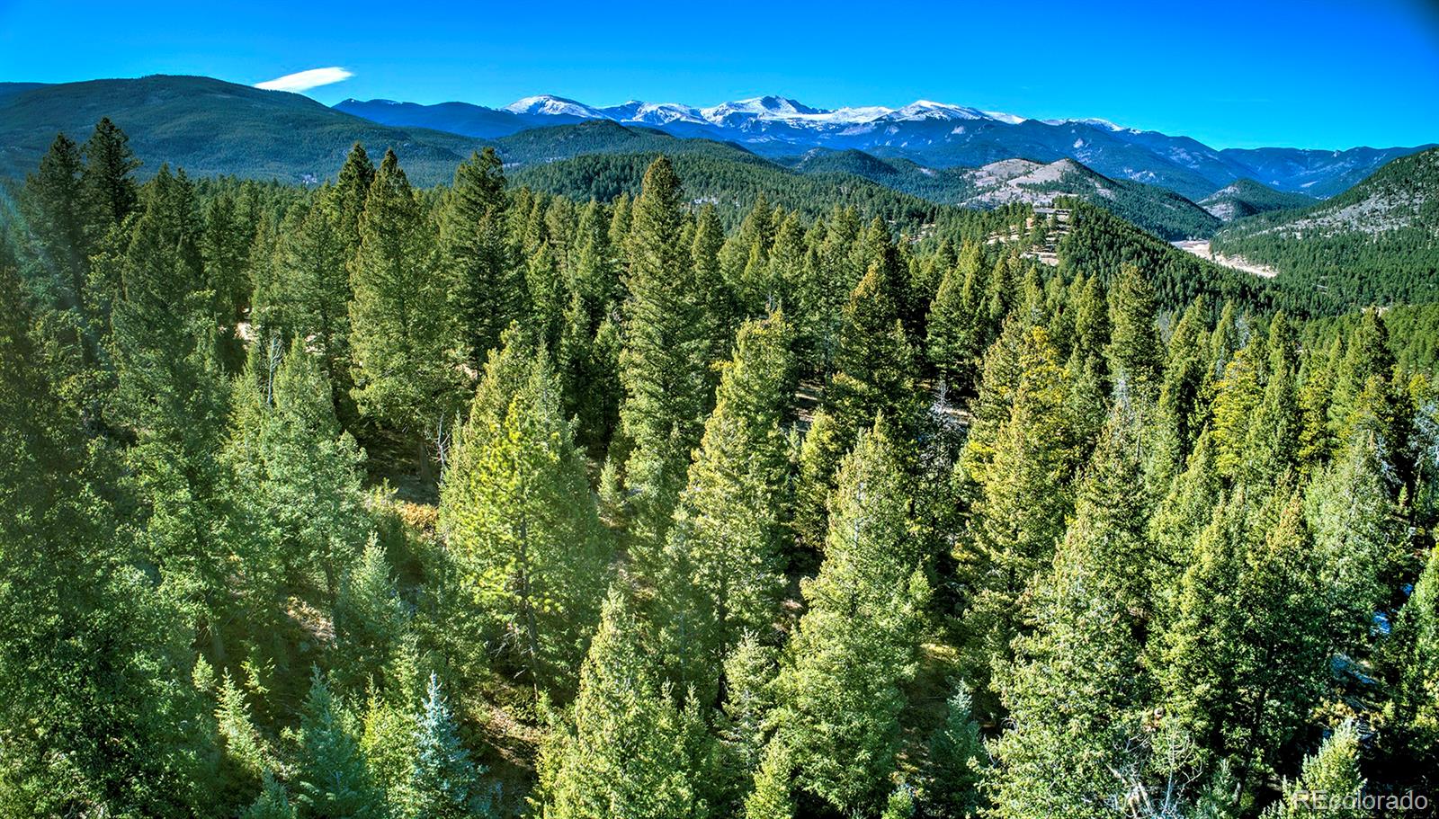 Golden Willow Road Evergreen, CO 80439 - Photo 13 of 22 Gallery Image 13