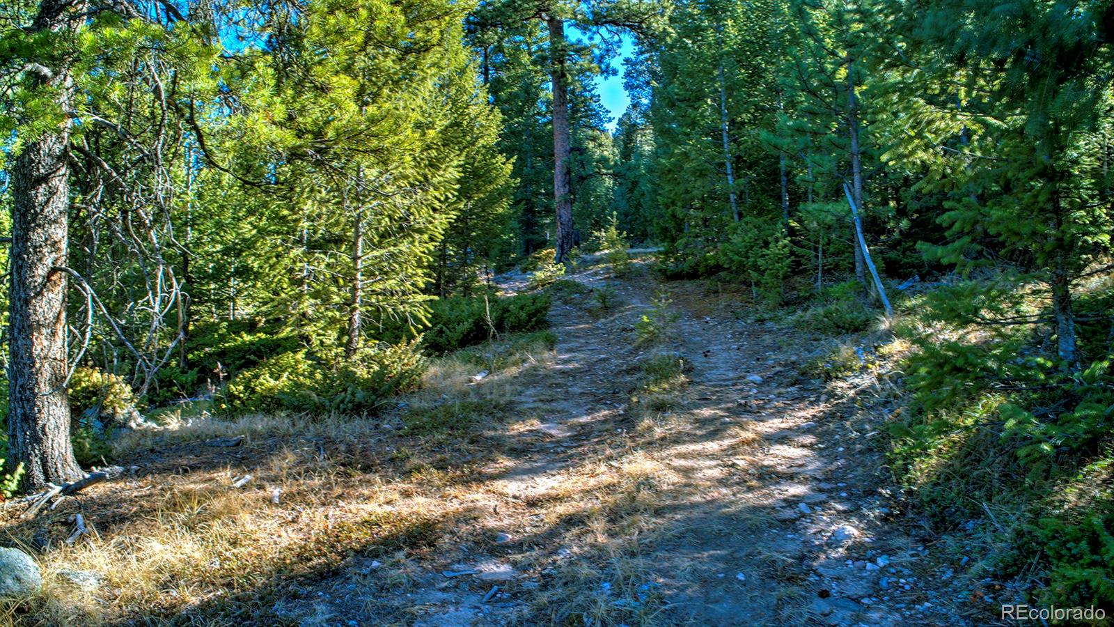 Golden Willow Road Evergreen, CO 80439 - Photo 17 of 22 Gallery Image 17