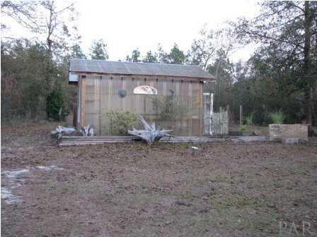 3621 Perdido Lake Road Cantonment, FL 32533 - Photo 4 of 24 Your own green house to play in.