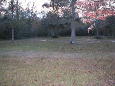 3621 Perdido Lake Road Cantonment, FL 32533 - Photo 6 of 24 View of front yard from front deck.