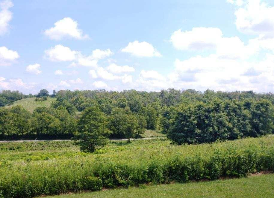 3294 Upper Concord Road Carlisle, KY 40311 - Photo 31 of 37 Photo 31