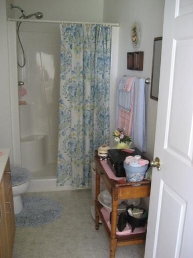 21 Hunters Ridge Lane Rocky Mount, VA 24151 - Photo 18 of 24 17 Master Bath
