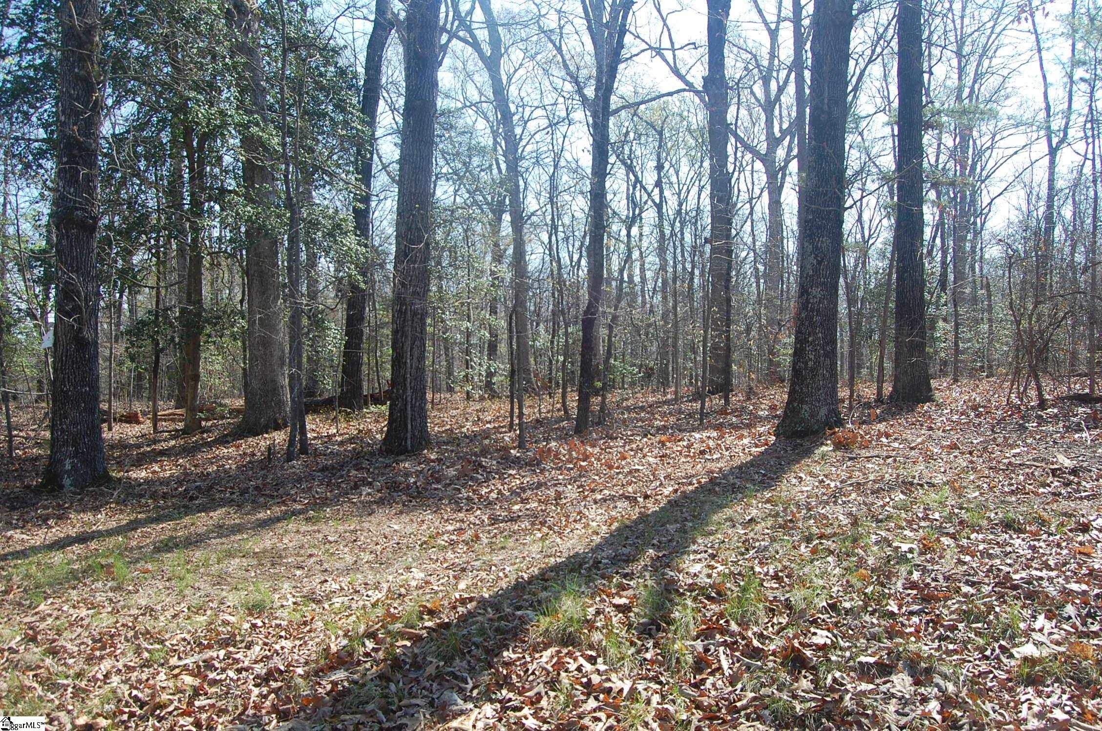 0 North Harrison Bridge Road Simpsonville, SC 29680 - Photo 4 of 12 Gallery Image 4