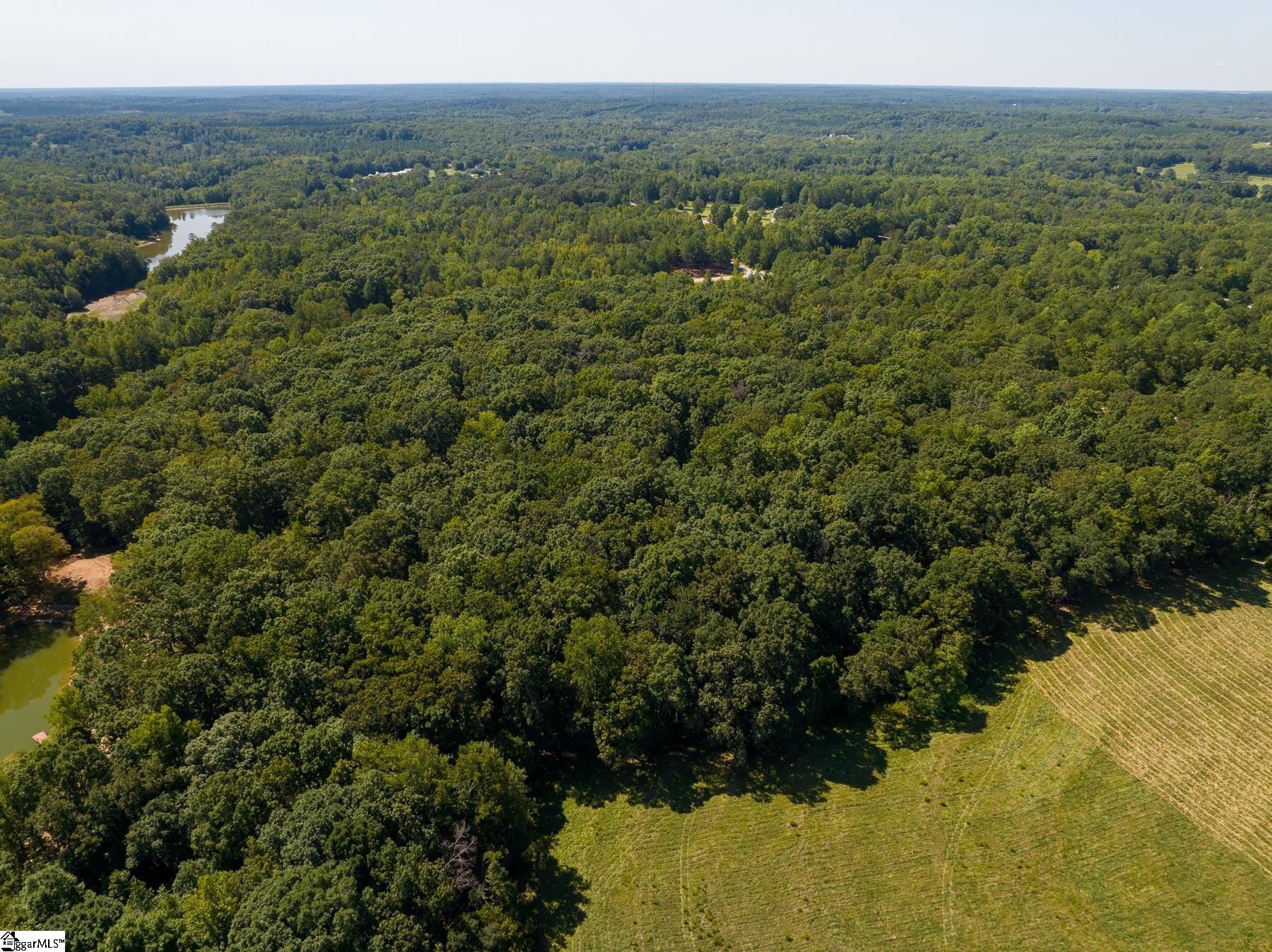 0 North Harrison Bridge Road Simpsonville, SC 29680 - Photo 8 of 12 Gallery Image 8