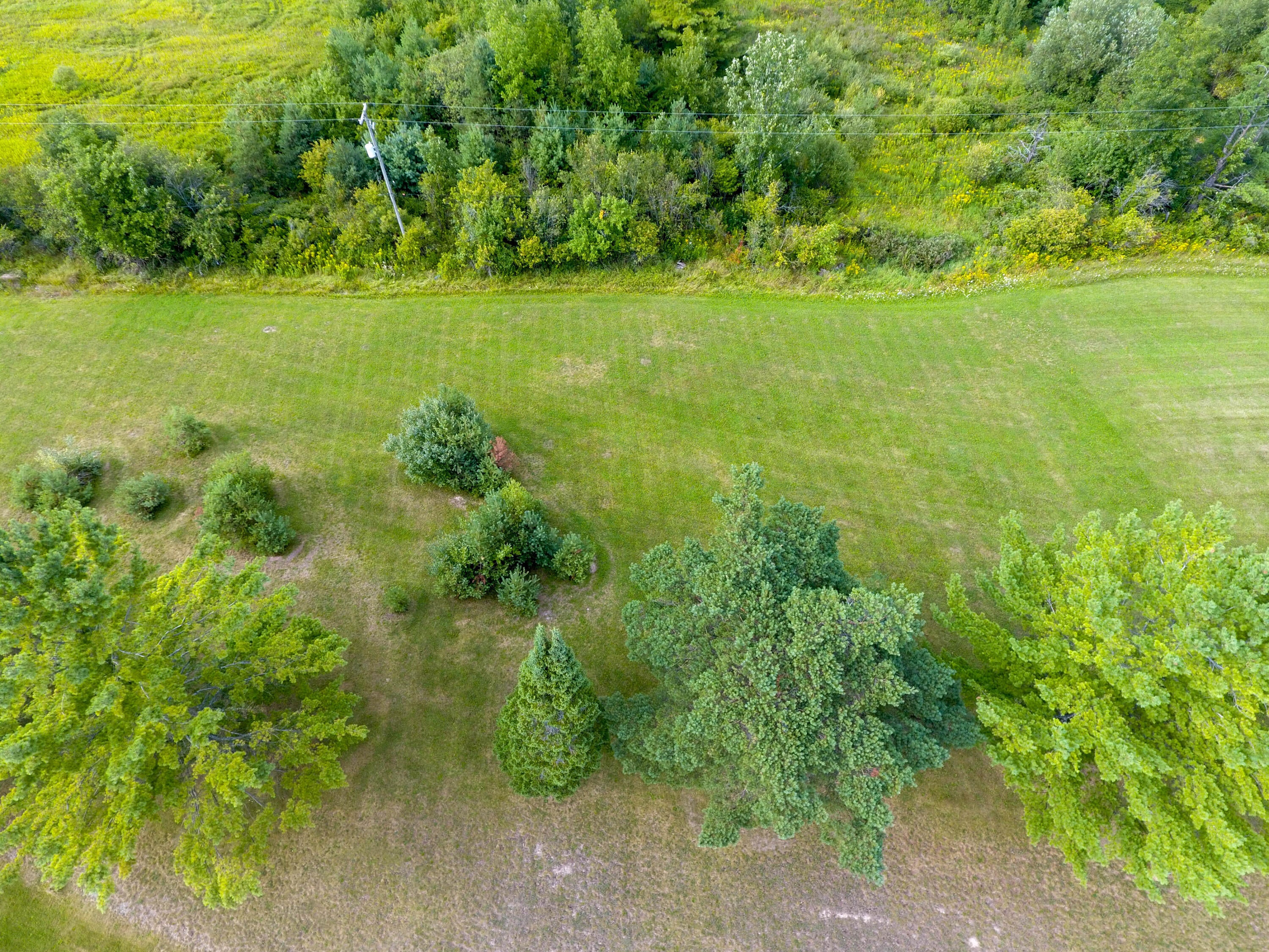 Lot #21 Rivers Ridge Court Cheboygan, MI 49721 - Photo 2 of 9 Gallery Image 2