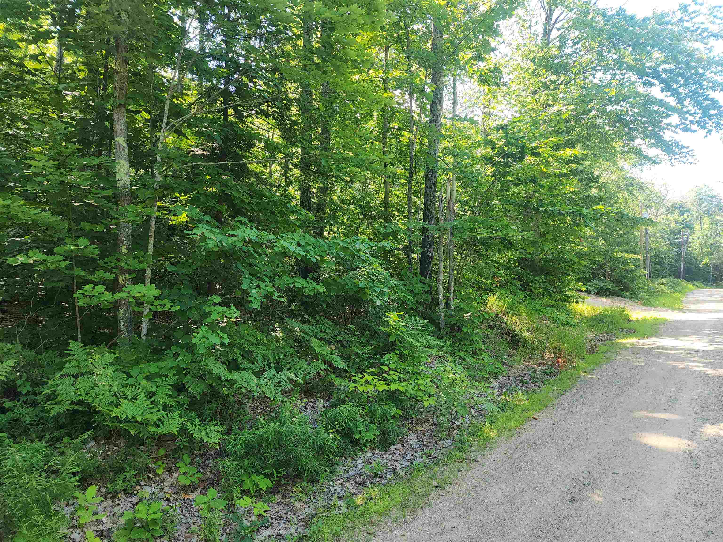 41 Huttwil Road, Unit C142 Madison, NH 03849 - Photo 1 of 10 Gallery Image 1