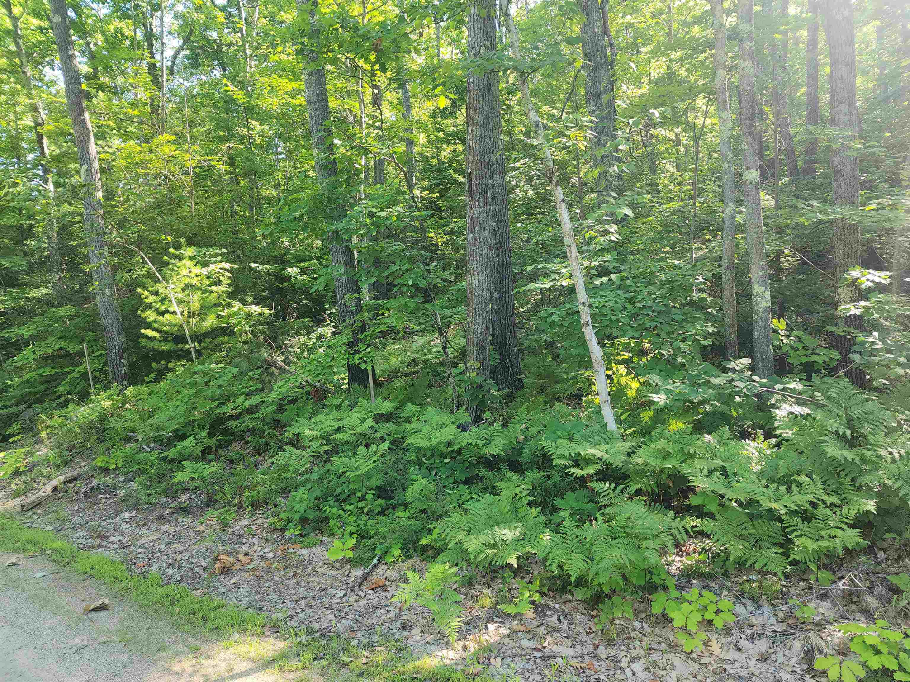 41 Huttwil Road, Unit C142 Madison, NH 03849 - Photo 3 of 10 Gallery Image 3