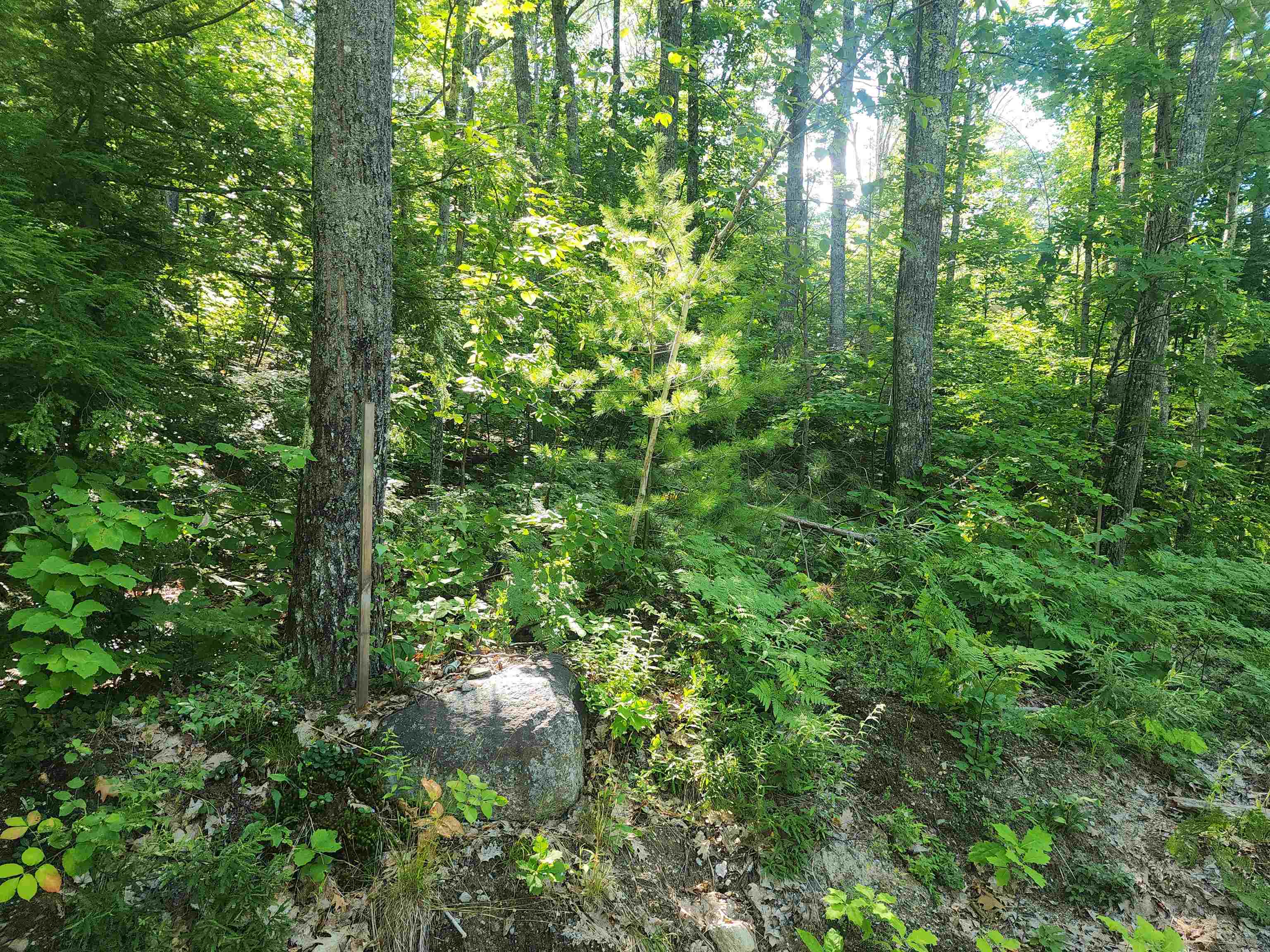 41 Huttwil Road, Unit C142 Madison, NH 03849 - Photo 4 of 10 Gallery Image 4