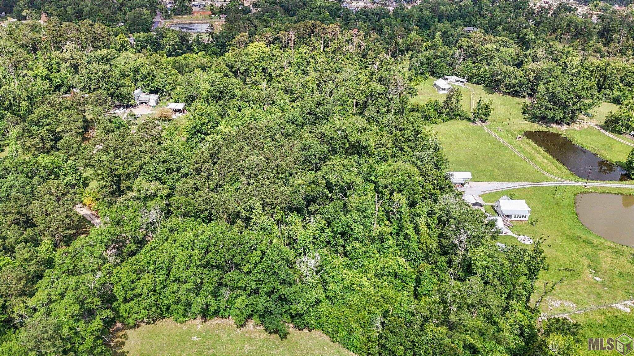 29809 South Cafe Line Road Albany, LA 70711 - Photo 24 of 31